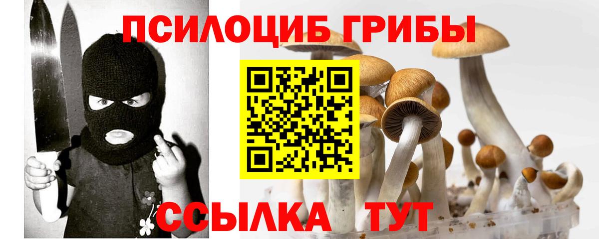Псилоцибиновые грибы Cubensis  Псилоцибиновые грибы мухоморы  Партизанск  Вход с VPN 